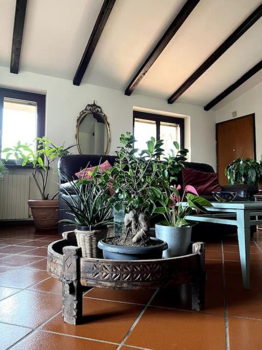 ריברגרו Apartment In Villa La Carruba מראה חיצוני תמונה