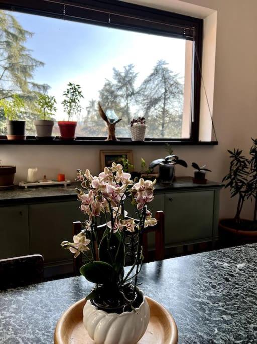 ריברגרו Apartment In Villa La Carruba מראה חיצוני תמונה