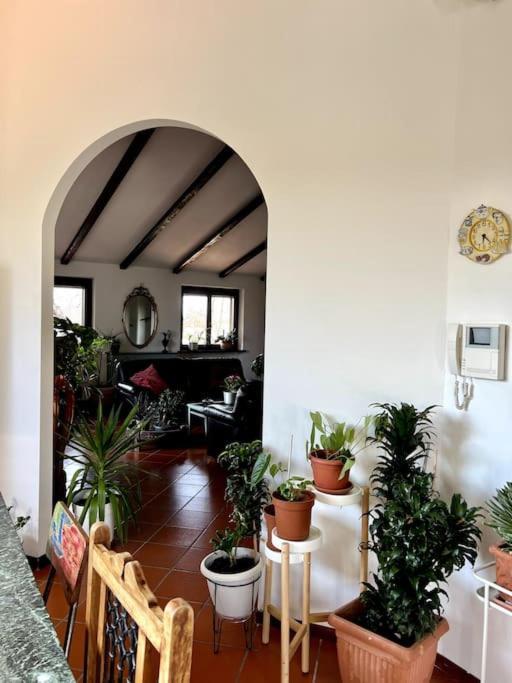 ריברגרו Apartment In Villa La Carruba מראה חיצוני תמונה